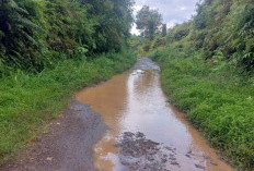 Akses Desa Belum Maksimal, Masyarakat Padang Siring Tunggu Kelanjutan Pembangunan Jalan