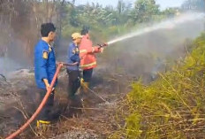 Kabupaten Bengkulu Tengah Kembali Dilanda Karhutla, Ini Buktinya