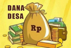 Segini Jumlah Desa di Bengkulu Tengah Belum Cairkan Dana Desa