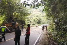 Petugas Gabungan Pangkas Pohon di Jalan Lintas Bengkulu Tengah–Kepahiang