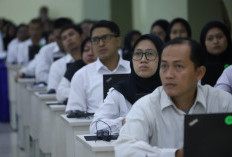 Apakah Tenaga Honorer PPPK Tahap 2 Boleh Mundur Setelah Lolos? Ini Penjelasan Lengkapnya