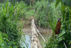 Kondisi Jembatan Nyaris Putus, Keselamatan Warga Desa Paku Haji Terancam