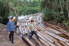 Menterinya Prabowo Janji Cabut 20 Izin Perusahaan Pembabat Hutan di Banjir Pulau Sumatra
