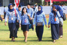 5 Tahun ke Depan Tidak Ada Rekrutmen PPPK, Semuanya PNS