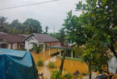Banjir Terjang Bengkulu Tengah, Ratusan Rumah Warga di Sejumlah Desa Terdampak