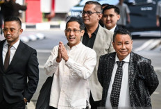 Hotman Paris Bela Nadiem Makarim, Bawa Nama Tom Lembong