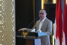 Menteri P2MI Mukhtarudin: Pelindungan Pekerja Migran Sebagai Prioritas Utama Negara