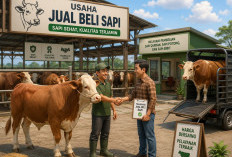 Sempat Dilapor ke Polsek, Warga Pondok Kelapa Belum Lunasi Uang Jual Beli Sapi Senilai Puluhan Juta