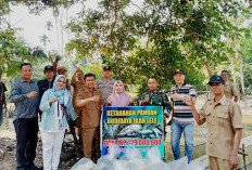 Program Ketahanan Pangan Desa Dusun Baru II, 30 Ribu Bibit Ikan Lele Ditebar