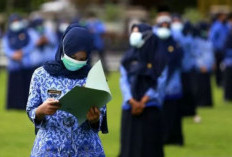25 PPPK Tidak Mendapatkan Perpanjangan Kontrak, 4 Jenis Penyebabnya