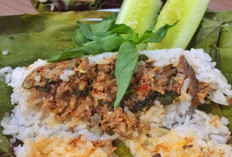 Apa Alasan Nasi Bakar Ikan Tongkol Kemangi Makin Diminati? Yuk Simak Penjelasannya