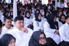 BKN Ungkap Data Daerah Belum Menuntaskan PPPK 2024, Sanksinya Berat
