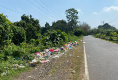 Tumpukan Sampah di Pinggir Jalan Desa Pulau Panggung-Jum’at Dikeluhkan Warga, Tokoh Pemuda: Kemana DLH?