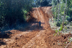 Fokus Baru pada Infrastruktur untuk Kemajuan Desa, Pemdes Tanjung Raman Susun APBDes-P