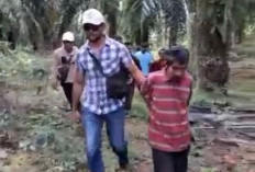 Buron Dua Hari, Pelaku Pembunuhan Anak Tiri Akhirnya Berhasil Ditangkap Polisi di Perkebunan Warga