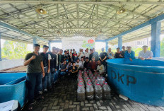 Inovasi Budidaya Lele dari Pertamina Patra Niaga, Cocok untuk Warga Perkotaan