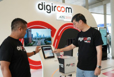 Auto2000 Digiroom Hadir dengan Versi Baru, Ada Layanan Trade-in & Panduan Beli Mobil