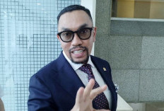 Kejagung Tangkap Buronan Kasus Batu Bara, Sahroni: Bukti Tak Ada yang Kebal Hukum