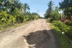 Jalan Sidorejo–Abu Sakim Rusak Parah, Pemdes Minta Segera Diperbaiki