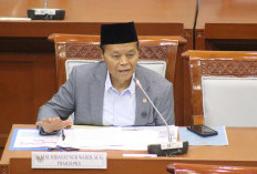 Kenaikan Biaya Haji Terkait Avtur Tak Dibebankan ke Calon Jemaah, HNW Apresiasi Presiden