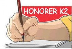 Honorer K2 Nilai 250 & Non-ASN Database BKN 500, Siapa Lulus PPPK 2024?