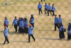 Dibutuhkan Negosiasi Tingkat Tinggi agar Honorer Tersisa jadi PPPK