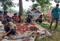 Masuki Bulan Ramadhan, Pemdes Taba Renah Sembelih 3 Ekor Sapi, Daging Dibagikan ke Warga