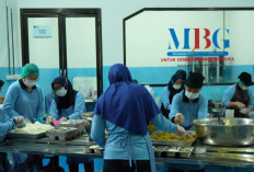 BGN Terapkan Skema WFH Bergantian Bagi Layanan Publik demi Hemat BBM