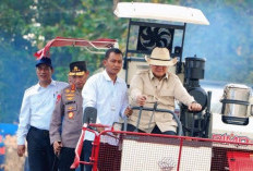 Swasembada Pangan Tercapai Sangat Cepat, Prabowo Berterima Kasih kepada Mentan Amran