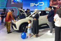 53 Diler Dukung BYD ATTO 1, Targetkan 100 Dealer hingga Akhir Tahun