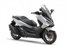 Honda Forza 2025 Meluncur dengan Warna dan Fitur Baru, Cek Harganya di Sini