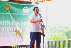 KLH Segel 4 Perusahaan yang Diduga Berkontribusi dalam Bencana Banjir di Sumatera