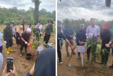 Penanaman Pohon Serentak se-Provinsi Bengkulu, Gubernur Helmi Tegaskan Larangan Sawit di Sempadan Sungai