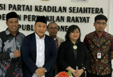 Honorer K2 Prioritas Diangkat PPPK 2024, Penempatan P1 Aman, Tanpa Tes