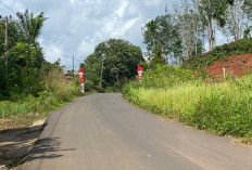 Pembangunan Jalan APBD 2025 Belum Capai Padang Siring, Ini Harapan Kades