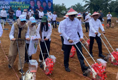 Kunjungi Bengkulu Tengah, Wamentan Bilang Kedaulatan Pangan Perlu Sinergi Eksekutif, Legislatif, dan DPD RI