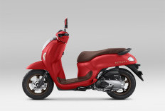 Makin Stylist, Skutik Retro New Honda Scoopy Kini Punya Warna Baru