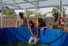 Pemdes Taba Mutung Optimis Budidaya Ikan dengan Sistem Bioflok Berhasil