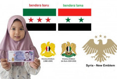 Mendadak Dapil