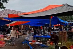 Pasar Senin Taba Lagan: Cabai Turun Rp3.000, Harga Ikan Nila Alami Kenaikan