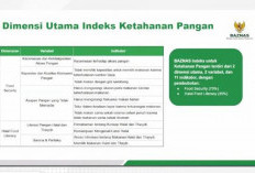 Indeks Ketahanan Pangan BAZNAS, Solusi Penyaluran Zakat yang Lebih Efektif