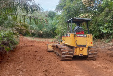 Peduli Infrastruktur, Pemdes Batu Raja Bangun Jalan Usaha Tani Sepanjang 1,3 Km