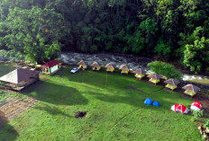 Mengejutkan! Jumlah Pengunjung Wisata Glamping Rindu Hati Turun Dratis di Hari Kedua Bulan Januari