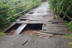 Jembatan Penghubung Desa Bukit Menuju Kuti Agung Rusak dan Berlubang, Kades Bukit Punya Permintaan ke Dinas PU