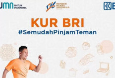 BRI Tawarkan Plafon KUR Rp 45 Juta Cicilan Terendah Rp 850.000 per Bulan, Cek Persyaratannya di Sini!