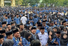 Banyak Calon PPPK Paruh Waktu TMS, Masih Diproses di BKN
