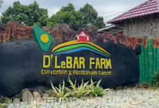 D. Lebar Farm Wisata Merujuk Pertanian Baru Hadir di Bengkulu Tengah, Yuk Berkunjung