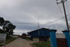 PT PMS Komit Dukung Perayaan HUT RI di Wilayah Penyangga