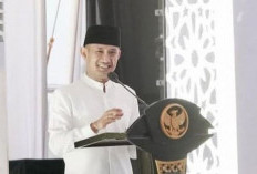 PPPK Tak Usah Gelisah, Fairid Naparin Pastikan Tidak Ada Pemberhentian