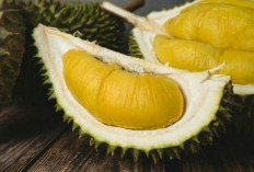 Harganya Cukup Terjangkau, Begini Penampakan Durian Jenis Musang King Bengkulu Tengah